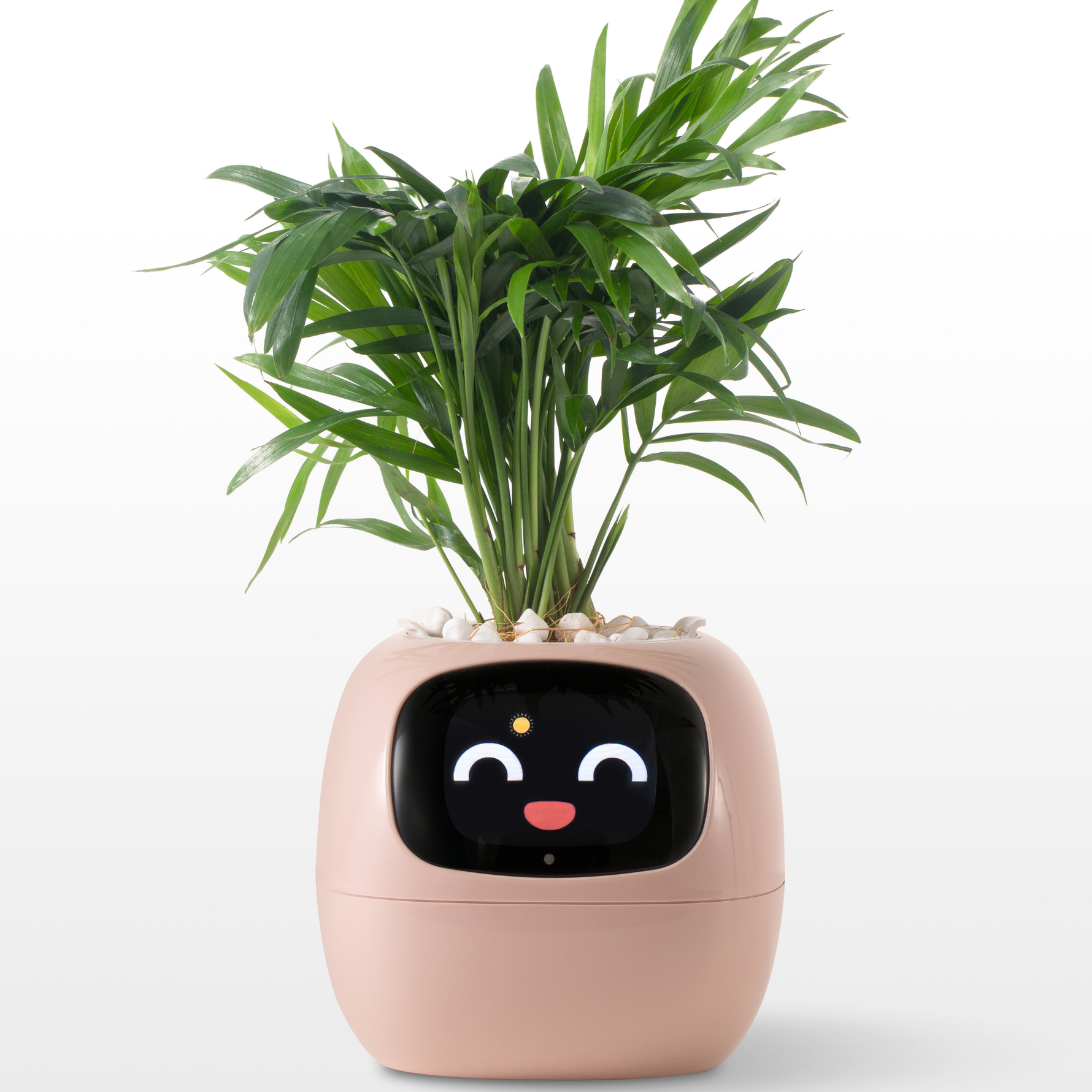 EmojiPot | Playful Flower Pot for Any Room