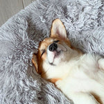 Beruhigendes Hundebett für entspannte Nächte