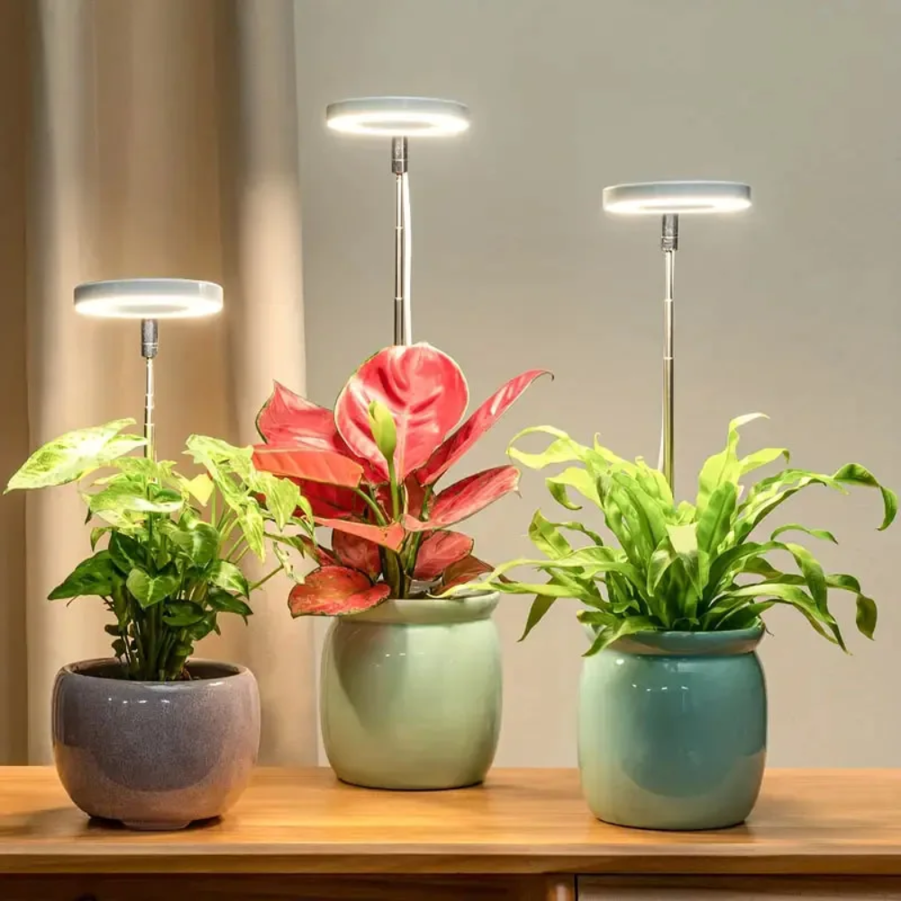 LumosPro – Promote your plants' growth all year round