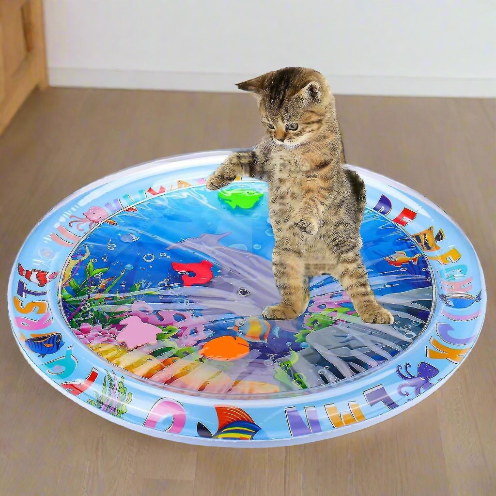 WaterPaws | Play Mat for Stress Reduction and Scratch Prevention