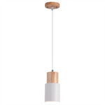 Elegante Pendelleuchte aus Metall für Ihr Zuhause