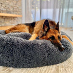 Beruhigendes Hundebett für entspannte Nächte