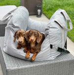 PetSafe Happy Ride® Car Seat Lookout | Dog Booster Car Seat for Safe Travels