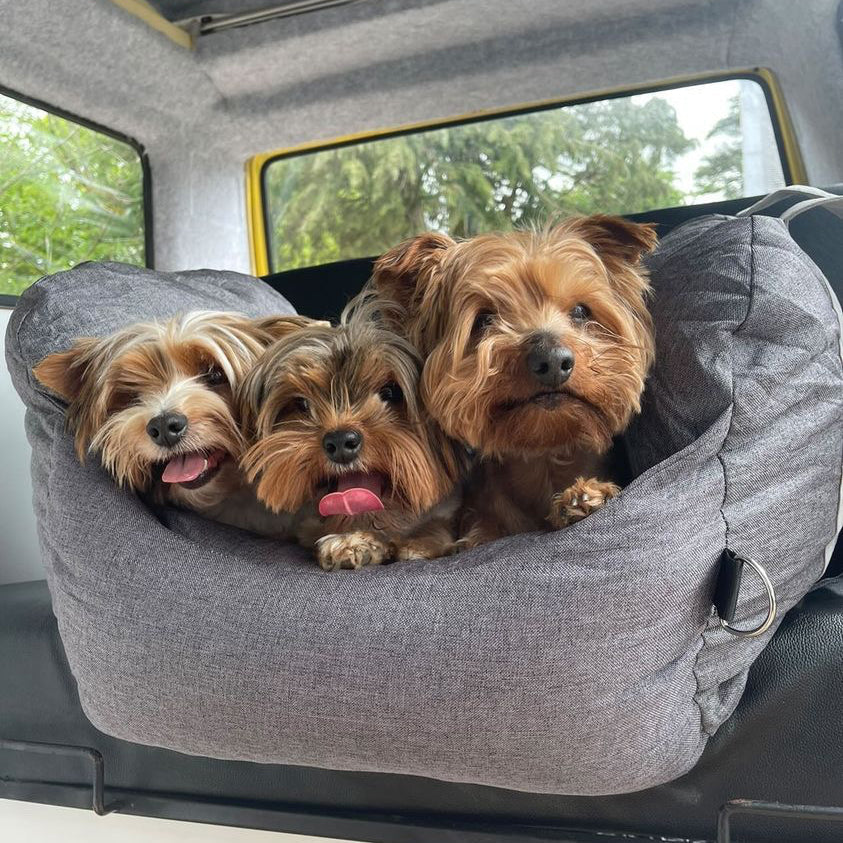 PetSafe Happy Ride® Car Seat Lookout | Dog Booster Car Seat for Safe Travels