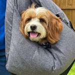 PetSafe Happy Ride® Car Seat Lookout | Dog Booster Car Seat for Safe Travels