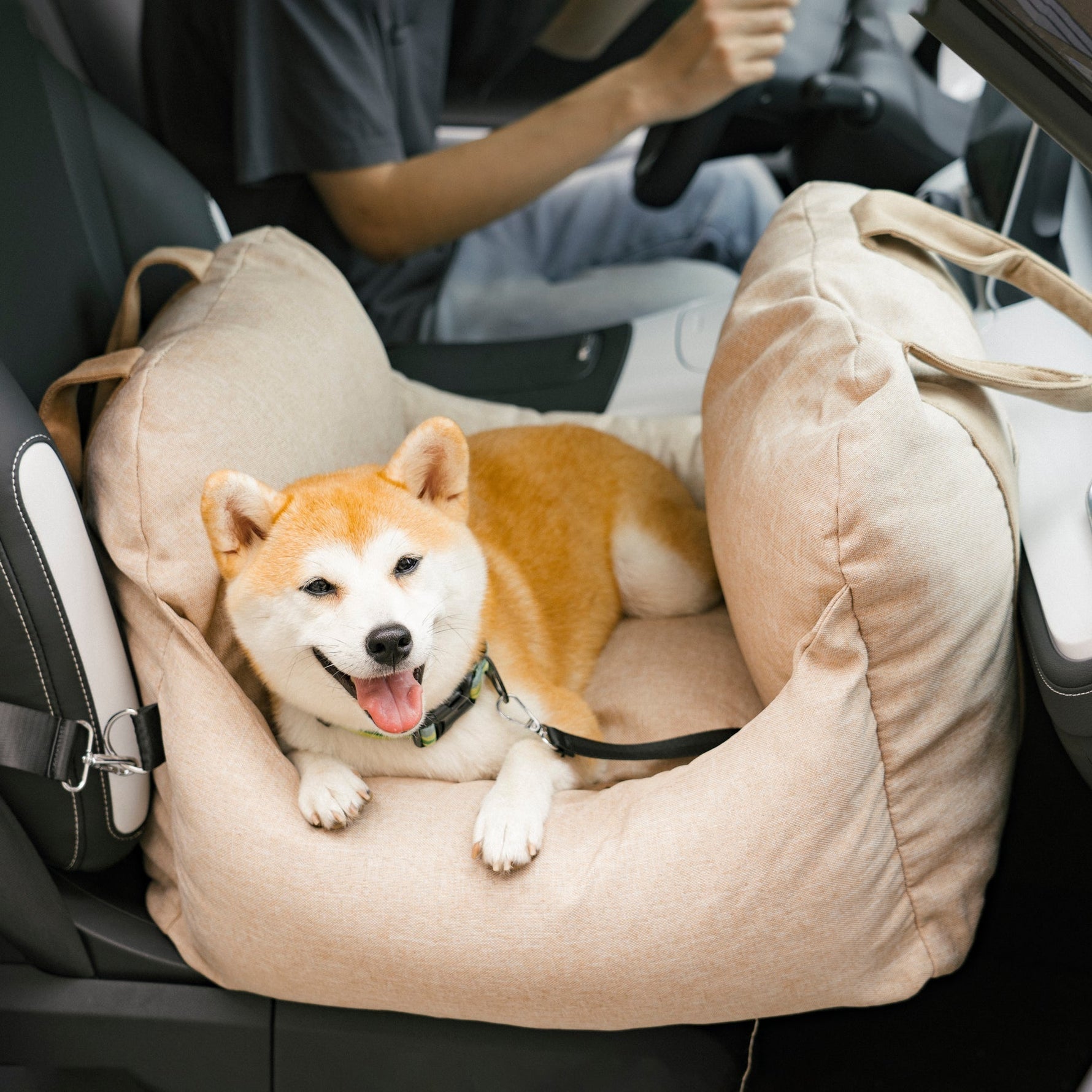 PetSafe Happy Ride® Car Seat Lookout | Dog Booster Car Seat for Safe Travels