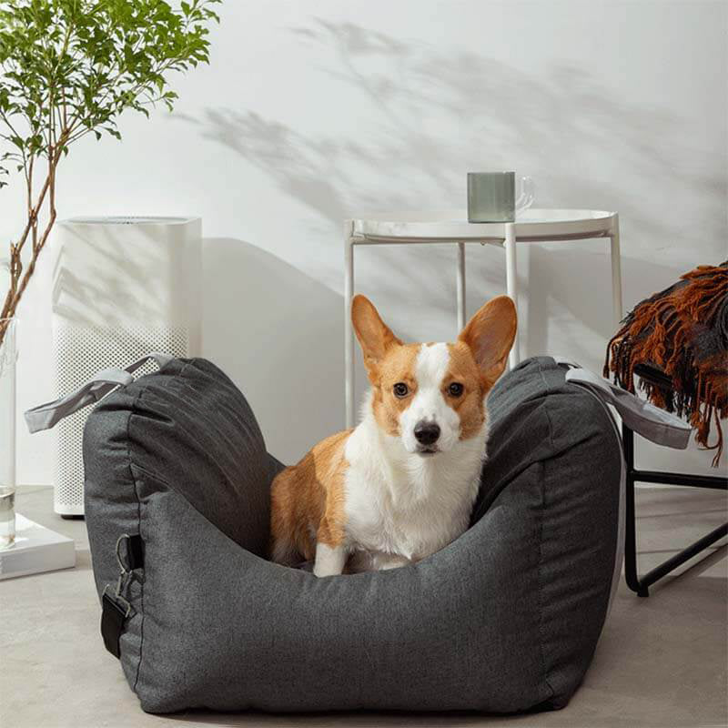 PetSafe Happy Ride® Car Seat Lookout | Dog Booster Car Seat for Safe Travels