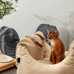 PetSafe Happy Ride® Car Seat Lookout | Dog Booster Car Seat for Safe Travels