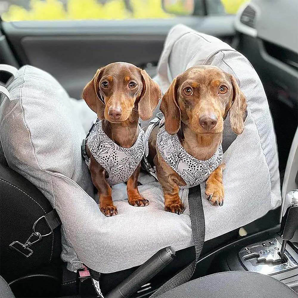 PetSafe Happy Ride® Car Seat Lookout | Dog Booster Car Seat for Safe Travels