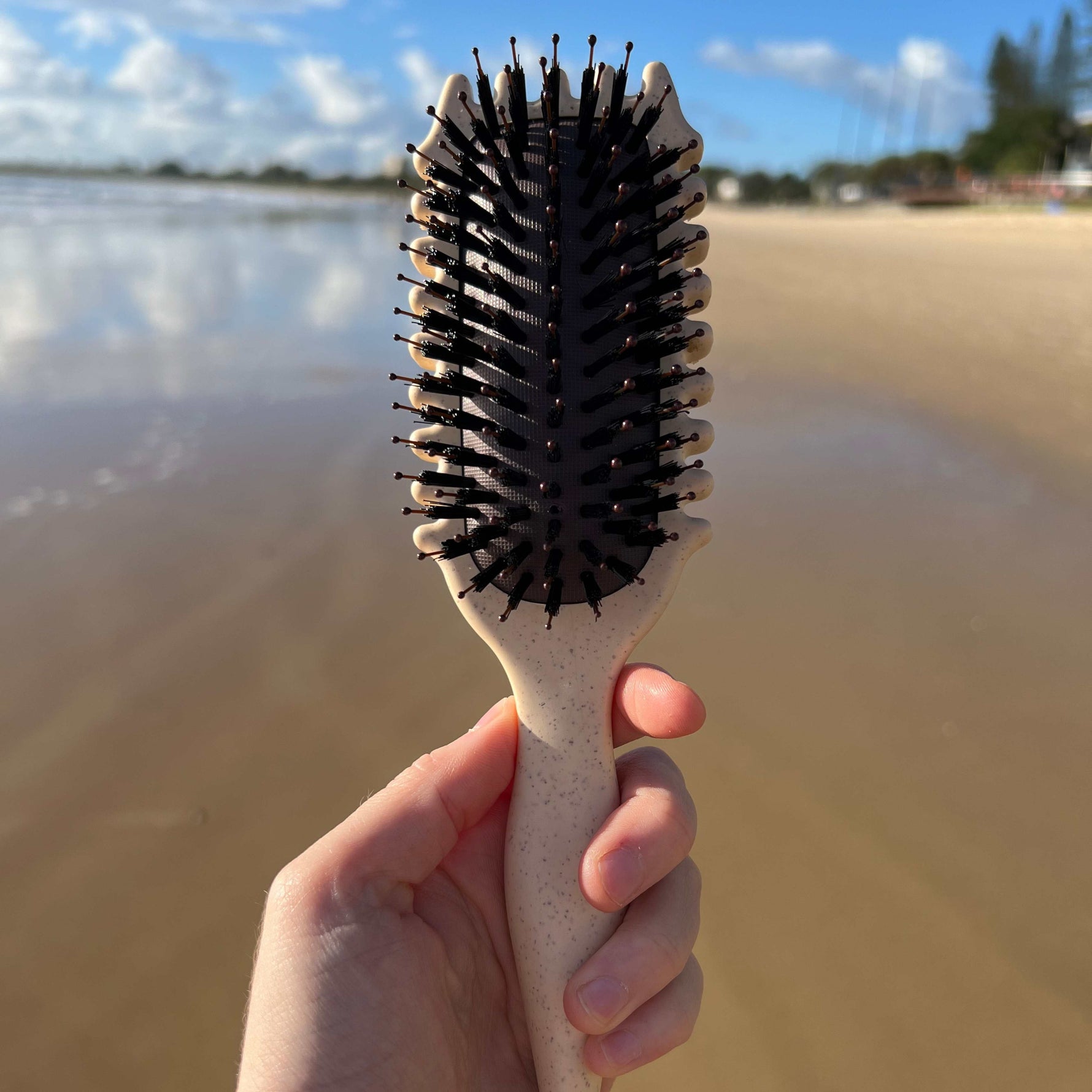 Multifunctional Hairbrush for Perfect Styling