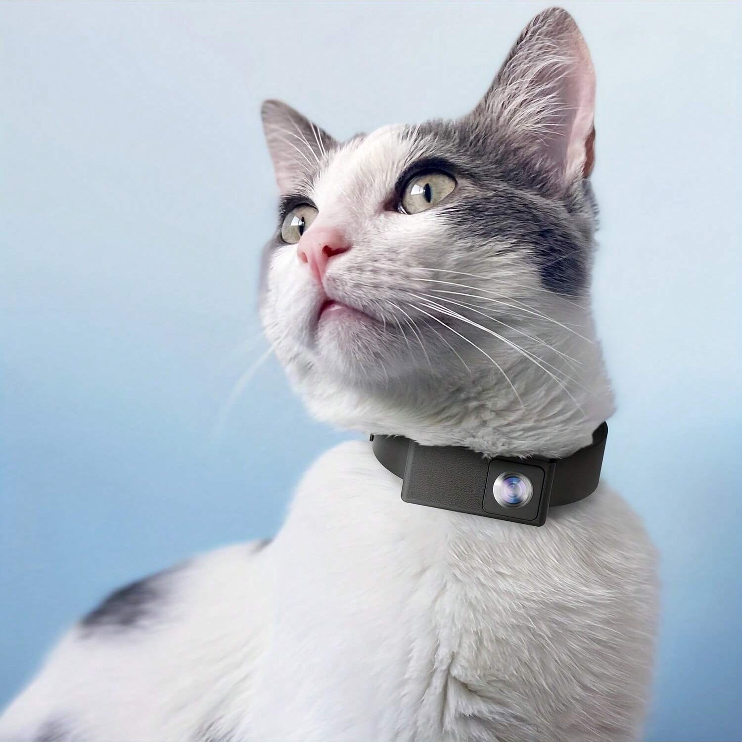 FidoVision | Tragbare 160° Haustierkamera für Katzen & Hunde mit 1080P HD-Video – 32GB