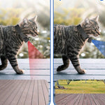 FidoVision | Tragbare 160° Haustierkamera für Katzen & Hunde mit 1080P HD-Video – 32GB
