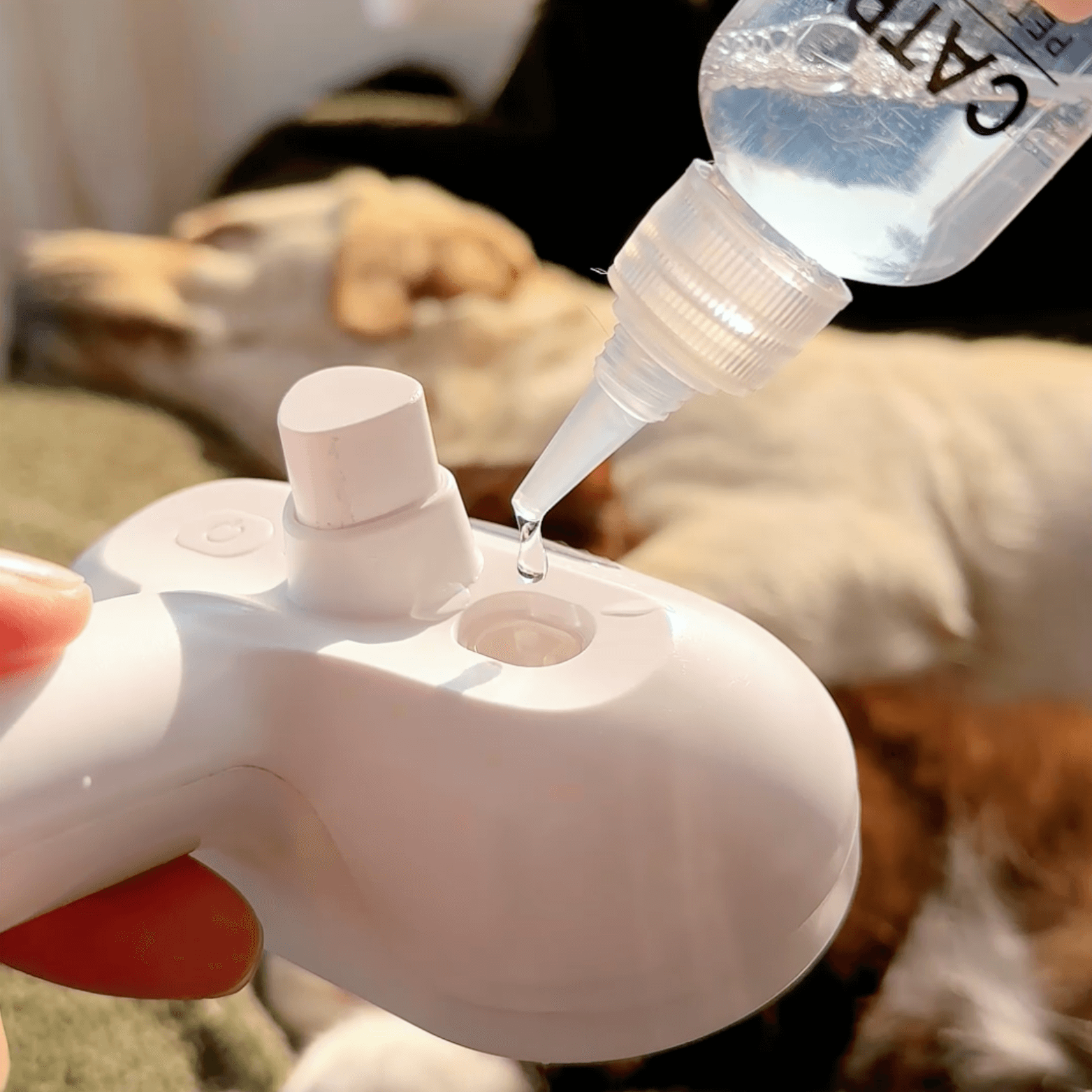 Dampf-Bürste für Hunde – Sanfte Pflege für jedes Fell