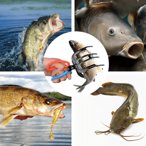 FishGripper Pro – Secure and Pain-Free Fish Catching