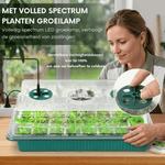 Vollspektrum LED Pflanzenstation für kräftige Keimlinge