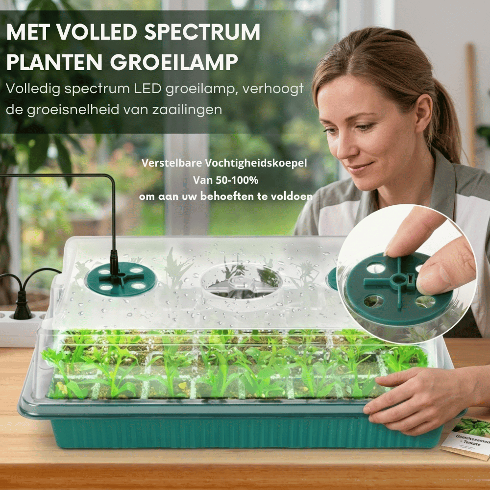 Vollspektrum LED Pflanzenstation für kräftige Keimlinge
