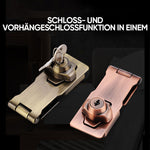 Sicherheitsbeschlag mit Scharnierbolzen und 2 Schlüsseln