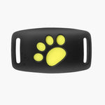 Intelligentes Katzenhalsband mit GPS-Tracking – Immer im Blick