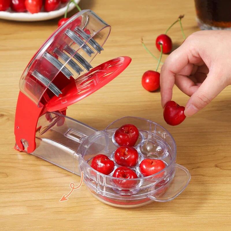 Kirschen ohne Mühe entsteinen mit dem CherryMaster™