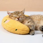 Bequeme Katzenkissen in ansprechendem Design
