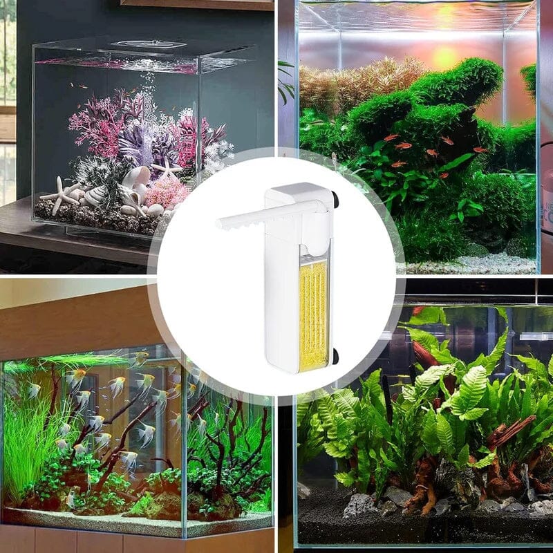 Effizienter Aquariumfilter für ein gesundes Fischleben