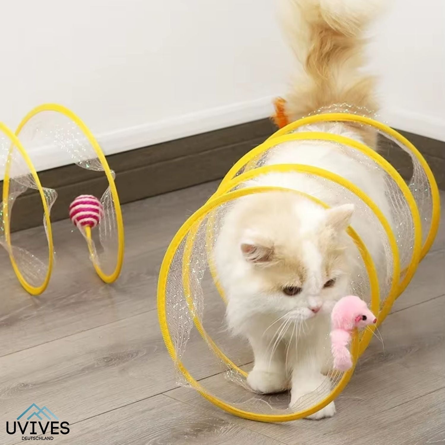 Abenteuerlicher Katzentunnel mit Spielzeug für aktive Katzen