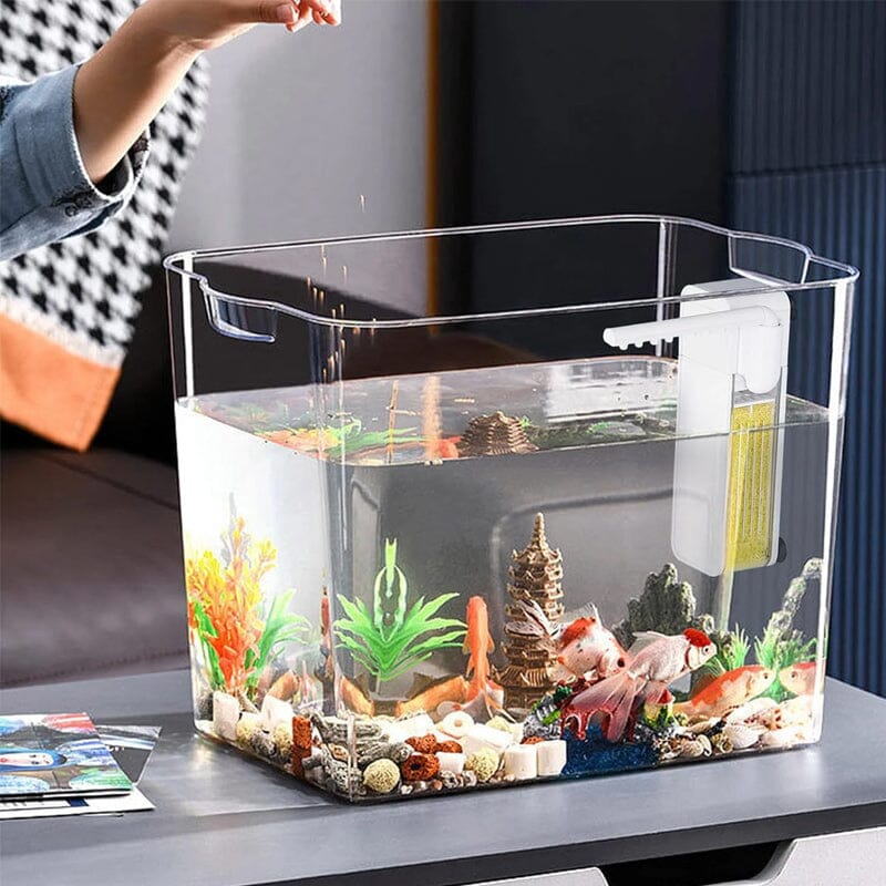 Effizienter Aquariumfilter für ein gesundes Fischleben