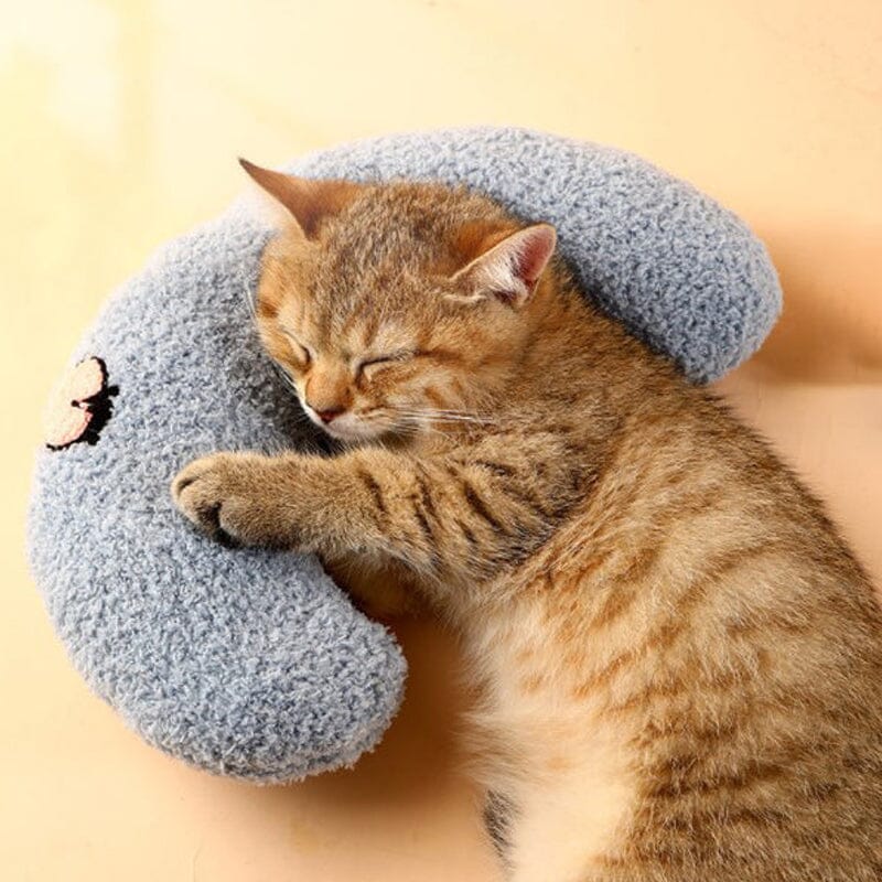 Bequeme Katzenkissen in ansprechendem Design