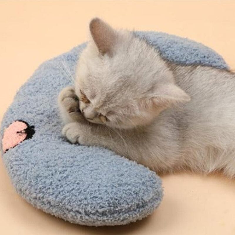 Bequeme Katzenkissen in ansprechendem Design