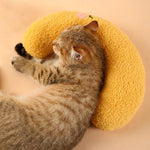 Bequeme Katzenkissen in ansprechendem Design