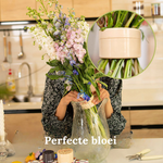 Blumenstängel Halter für Vasen – Praktischer Bouquet Organizer, 2er Set