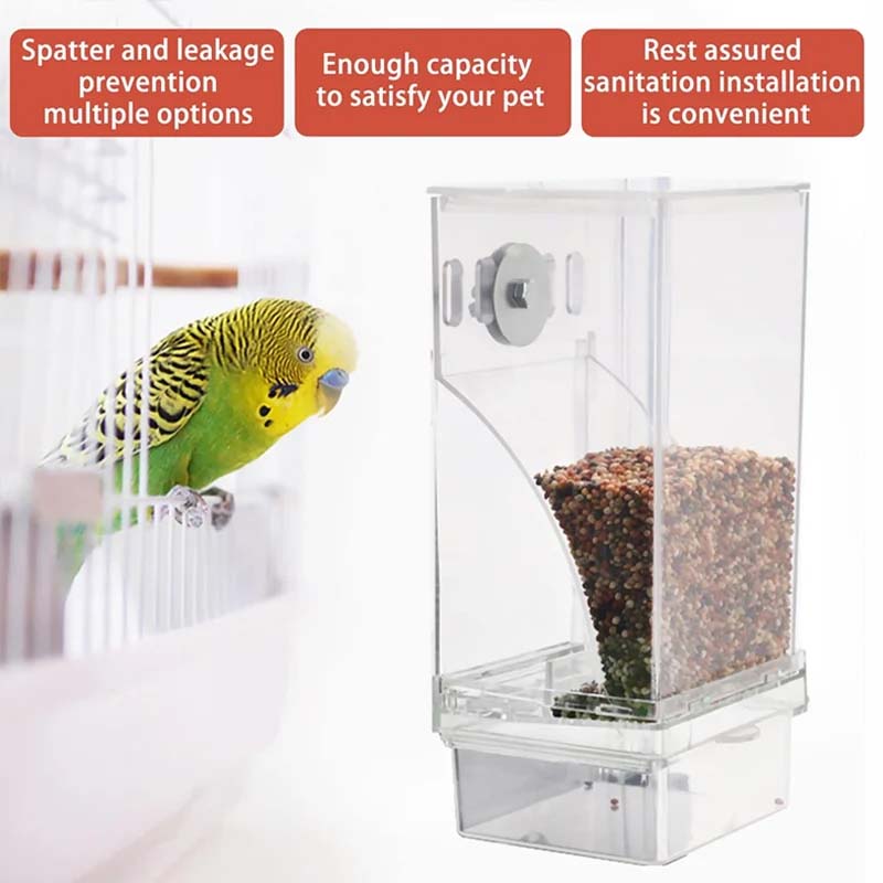 Automatischer Überlaufschutz transparenter Vogelhäuschen