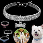 Glitzernde Hundefreundschaft: Stilvolles Halsband