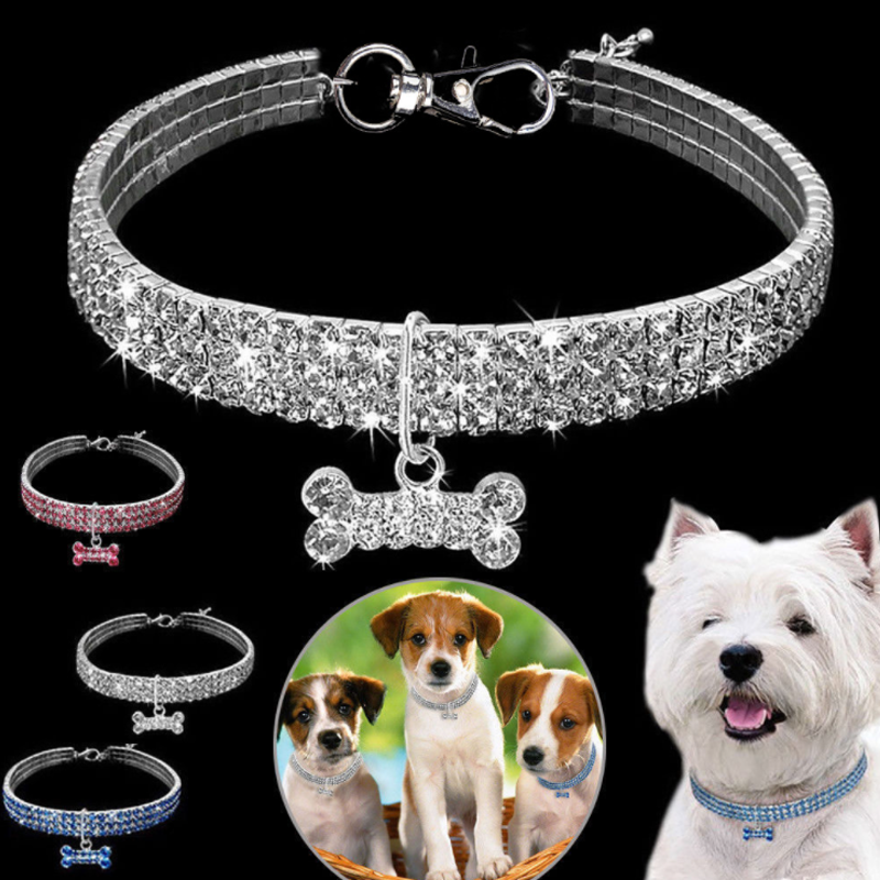 Glitzernde Hundefreundschaft: Stilvolles Halsband