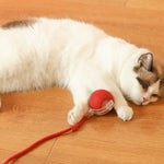 Interaktiver Spielball für Katzen – Spaß und Bewegung für drinnen