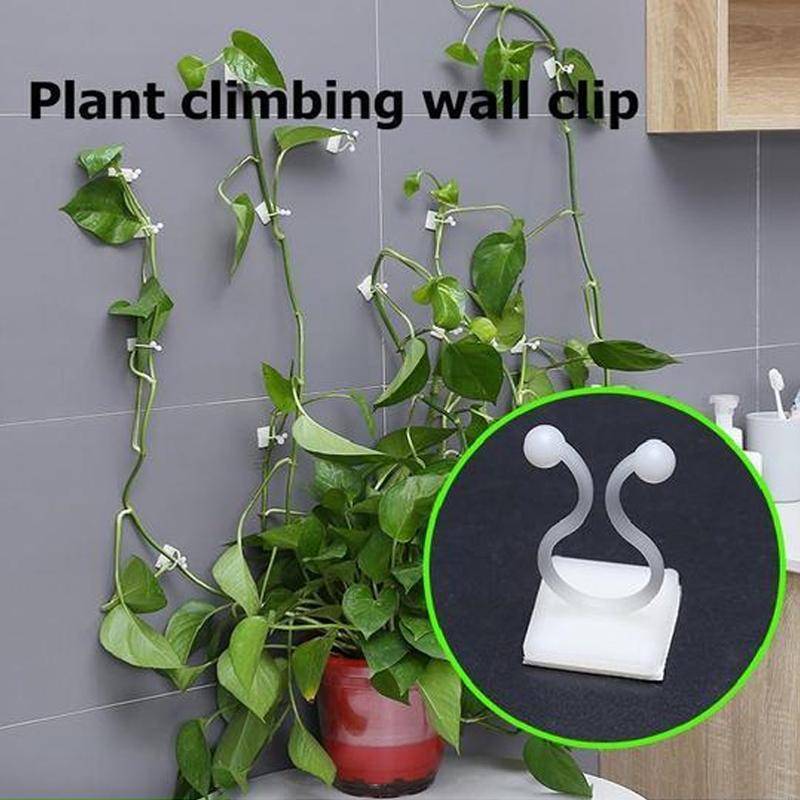 Wandclips für Kletterpflanzen (30 Stück)