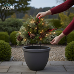 Enchanting Lights: The Perfect Christmas Decoration Filler
