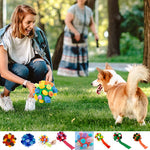 SnuffelBall | Interaktives Spielzeug für Hunde