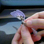 Frühlingszauber Duftschmetterling für Ihr Auto