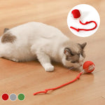 Interaktiver Spielball für Katzen – Spaß und Bewegung für drinnen