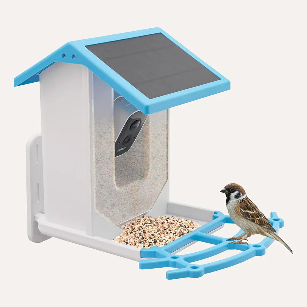 Naturblick Bird Feeder | Experience Wildlife Up Close