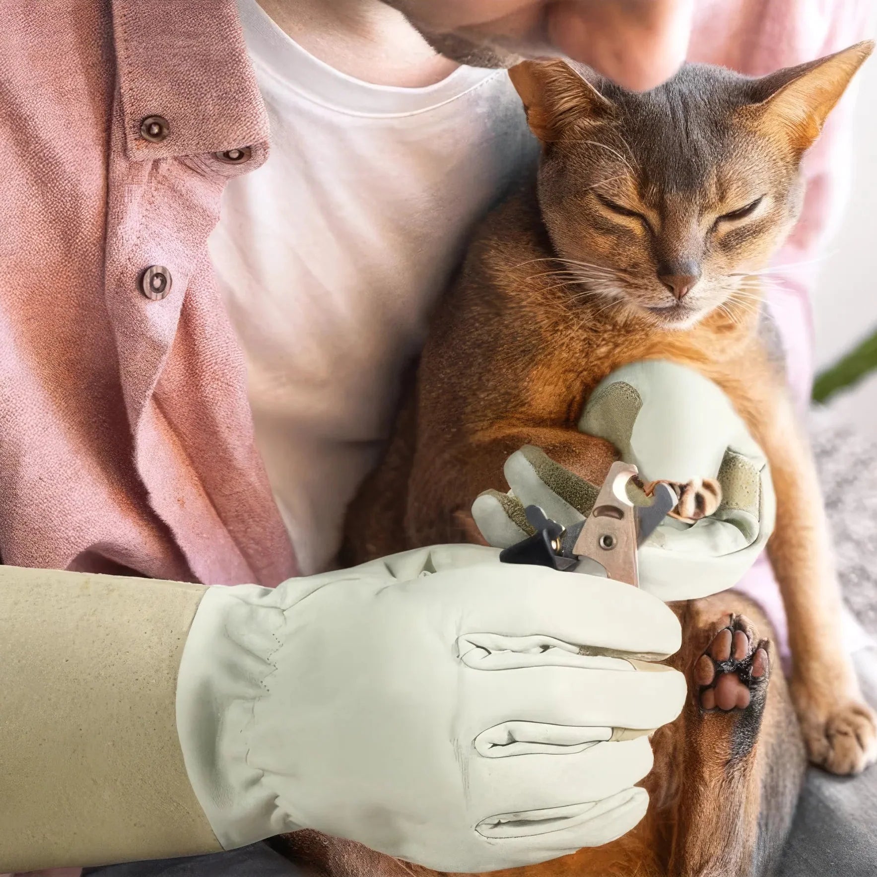 Gartenheld – Ergonomische und schützende Handschuhe für Gärtnerinnen