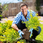 Bodenverbesserungspulver | Kaliummineral-Komplex | Für Gartenbeete und Kübel