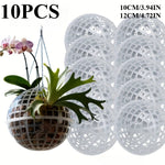 MossHarmony Hanging Planter Ball | Plastic with Drainage Holes | Ideal for Orchids and Ferns | Indoor and Outdoor Use