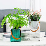 HydroSmart Pot – Worry-free plant care for your home