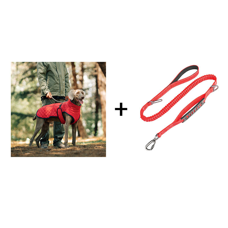 Dog Winter Coat – For warm and safe walks