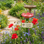 BlütenWasser – Your solution for a flourishing garden