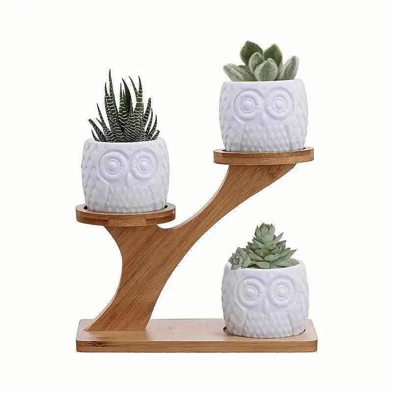 BambooStyle - Stylish Plant Presentation for Your Home