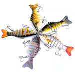 Fangmeister – The Perfect Solution for Successful Fishing Trips