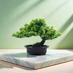 Lebenslange Bonsai-Pflanze für ein harmonisches Zuhause
